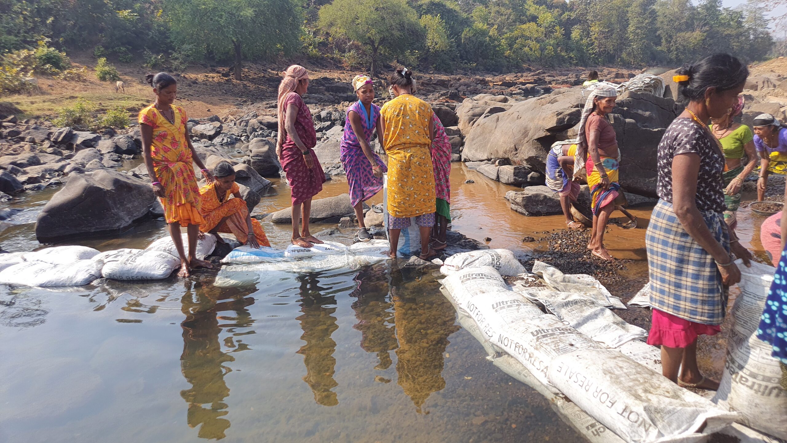 प्रगती महिला बचत गट वाकीपाडा बंधारा बांधतांना